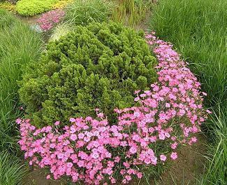 教师节优美祝福语句子简短(精选95条)