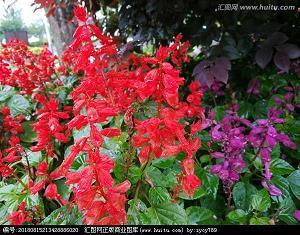 异地撩男朋友的句子 异地恋思念对方的说说