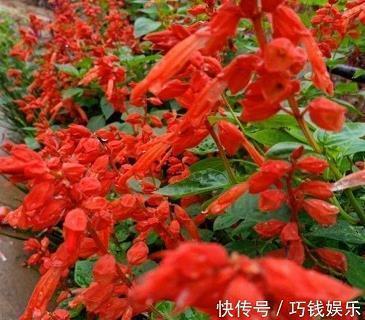 立秋时节暖心问候语(精选69条)