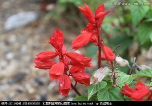 祝愿企业的话大气一些 祝公司更加辉煌的四字成语