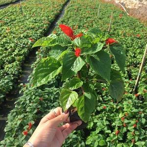 充满个性的句子17句，适合发说说(17句)