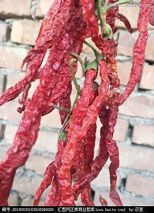 老板生日祝福语幽默