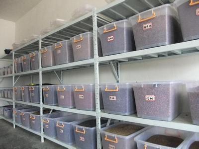 讽刺自己傻的伤感句子28句