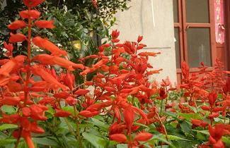 2020年末感慨发朋友圈文案说说60句