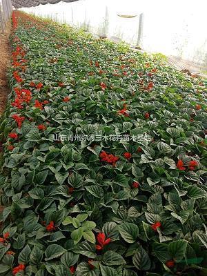 高考的祝福话语 关于高考加油的暖心句子