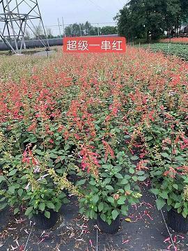 适合睡觉前发的朋友圈句子25句