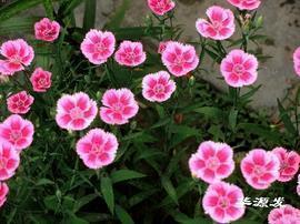 是距离太远，还是引线太短