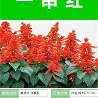 熙熙融融