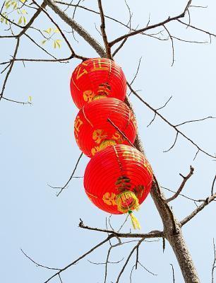 饁