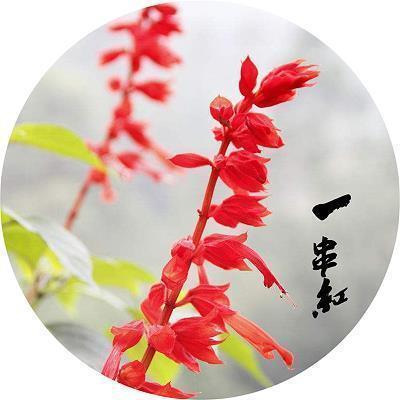 墠
