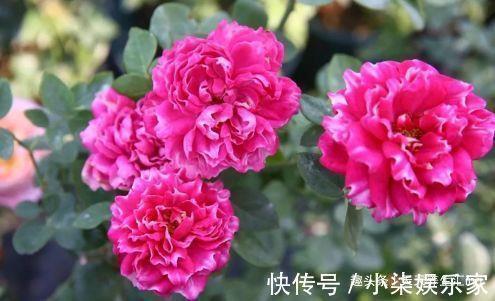 暆
