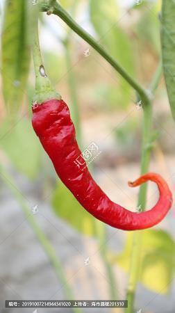 折节读书