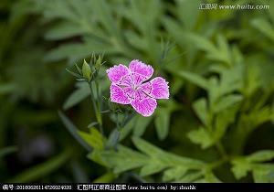 冬至包饺子发朋友圈说说 立冬包饺子的朋友圈说说