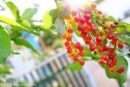 牛年春节除夕祝福语文案