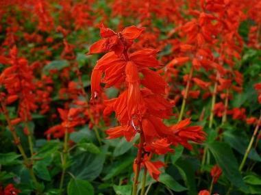 下雨思念一个人的说说 时间谎称会冲淡一切，偏偏思念半分不减