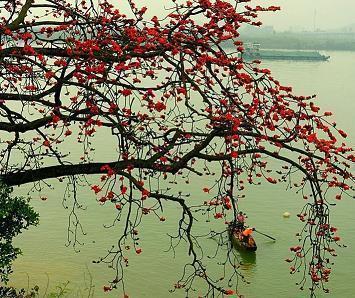 清明节的祝福