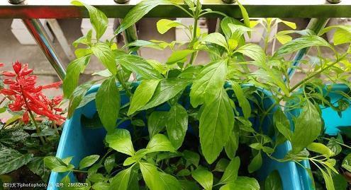 新益求新