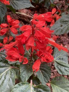 2021今日立冬句子简单(精选86句)