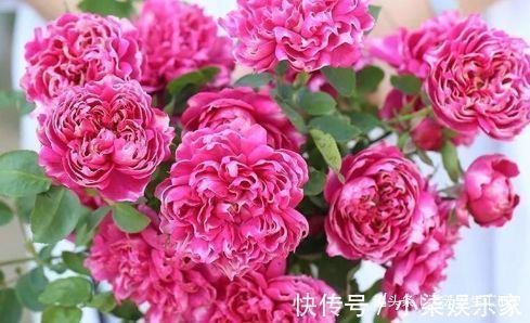 乱源