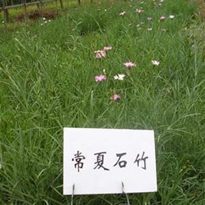 适合发朋友圈美景说说