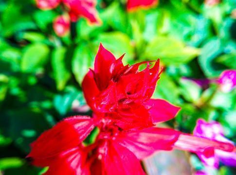 祝福儿童节日快乐的话2021年汇总100句