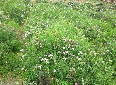 明事理知感恩的说说句子