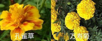感悟人生精辟短句 一句话的简单人生感悟