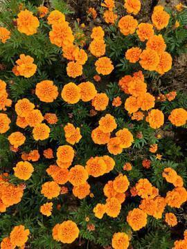 微信精辟的短语句子53句