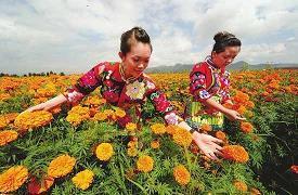 高级又沙雕的搞笑抖音文案