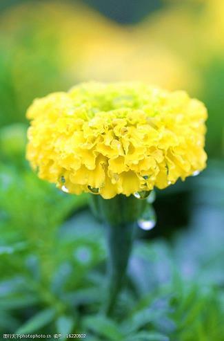 重阳节寄语晚辈对长辈简短(精选36条)