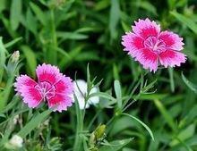 治愈暖心的唯美句子 小清新经典暖心短句