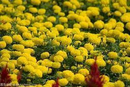 腊八节日文案 腊八节走心文案(精选36条)