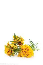 毫不经意
