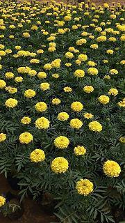 2021每日晨语正能量摘抄28句