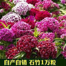 逃避感情的说说