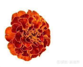 曲曲折折