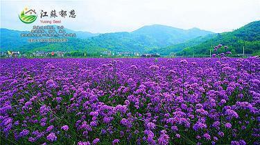 好累好压抑的句子，总有一句说到你心坎