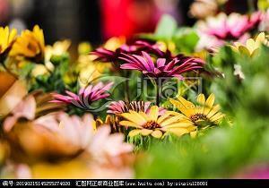祝福女生的话 送给女孩子的祝福语(精选56条)