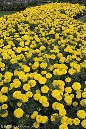 立冬节气精简祝福语2021年(精选61条)