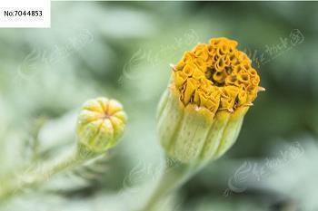 出去玩低调发朋友圈 旅行的句子唯美短句推荐66句