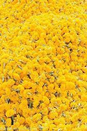 简短六一儿童节祝福语微信精选42句