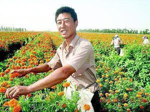 讨厌自己心软的说说