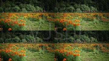 2021开学鼓励孩子的一句话(精选60句)