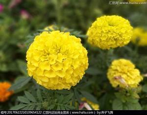 让人心痛的伤感句子说说17句，痛到心碎