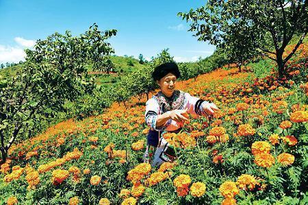 人一定要懂得感恩说说 人要懂得感恩经典语录52句