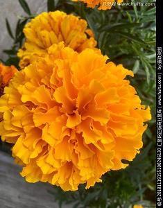 2021七月你好抖音文艺说说合集89句