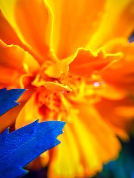 发朋友圈晚安的温馨句子51句