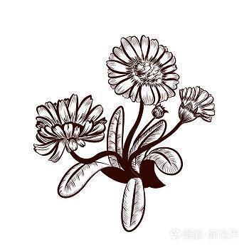 薄怯