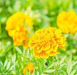 结婚纪念日祝福语短信