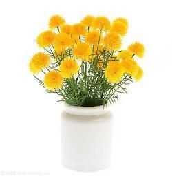 适合春节发的心情说说93句